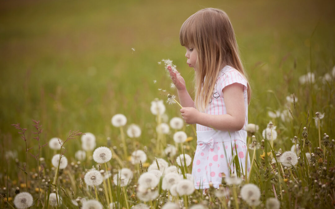 Generations-​Shooting mit Pusteblumen und Sauerampfer